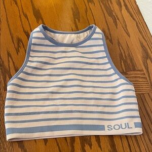 SOULCycle Blue & White Striped Ribbed Crop Tank